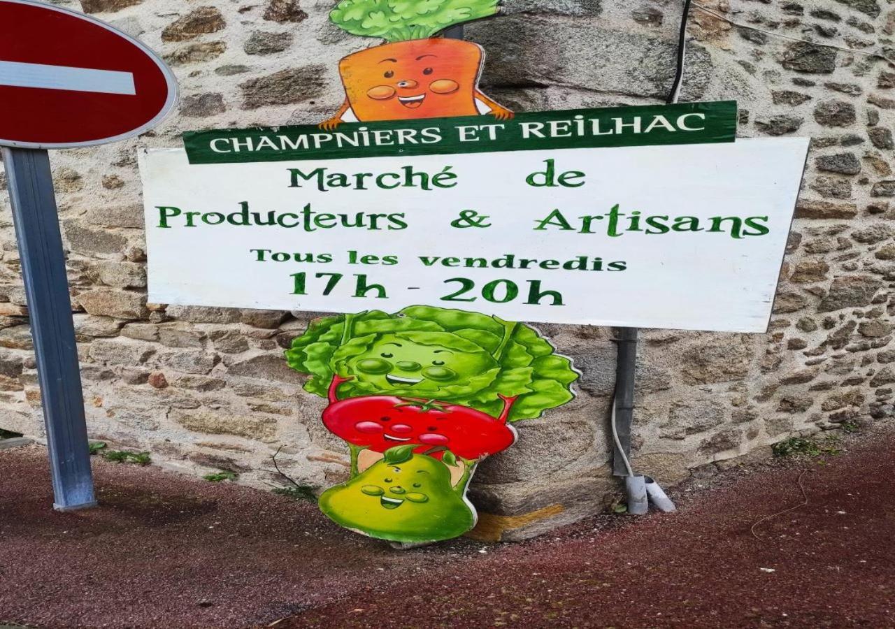 Cap Nature - T4 Et T3 En Perigord Vert - Ideal Pros Et Groupes Max 18P Champniers-et-Reilhac Exterior photo